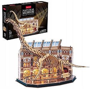 3D Puzzle CubicFun Muzeul de Științe Naturale – Brachiosaurus (L544h)