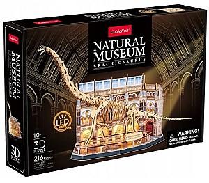 3D Puzzle CubicFun Muzeul de Științe Naturale – Brachiosaurus (L544h)
