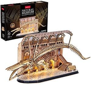3D Puzzle CubicFun Muzeul de Științe Naturale – Balena albastră (L545h)