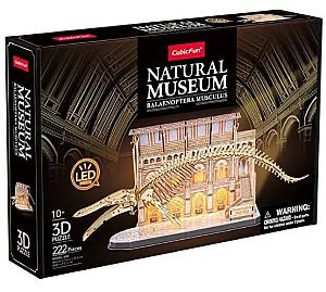3D Puzzle CubicFun Muzeul de Științe Naturale – Balena albastră (L545h)
