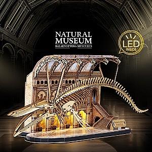 3D Puzzle CubicFun Muzeul de Științe Naturale – Balena albastră (L545h)