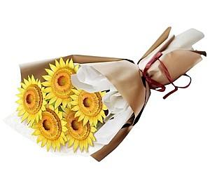 3D Puzzle CubicFun Buchet de flori – Floarea-soarelui (P866h)