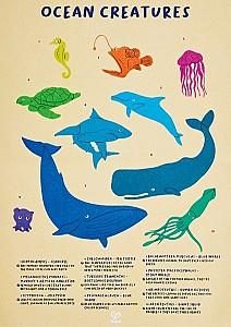 Puzzle Hape Balena cu cocoașă (E1668)