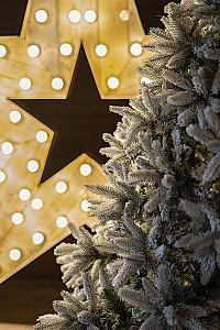 Brad artificial DIVI TREES Mont Blanc 3.5 m