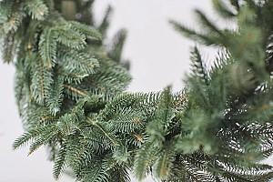 Ramura de brad DIVI TREES Garland Crown Premium Green