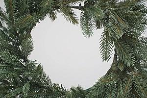 Ramura de brad DIVI TREES Garland Crown Premium Green