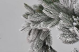 Ramura de brad DIVI TREES Garland Premium Crown Snow