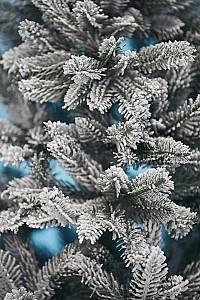 Brad artificial DIVI TREES Siberia 0.7