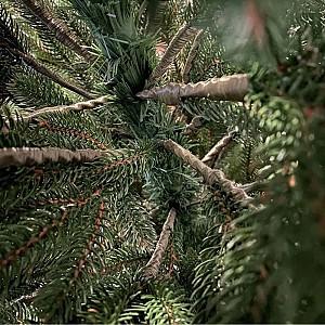 Brad artificial VLM RealTouch Evergreen "Kovalivka"