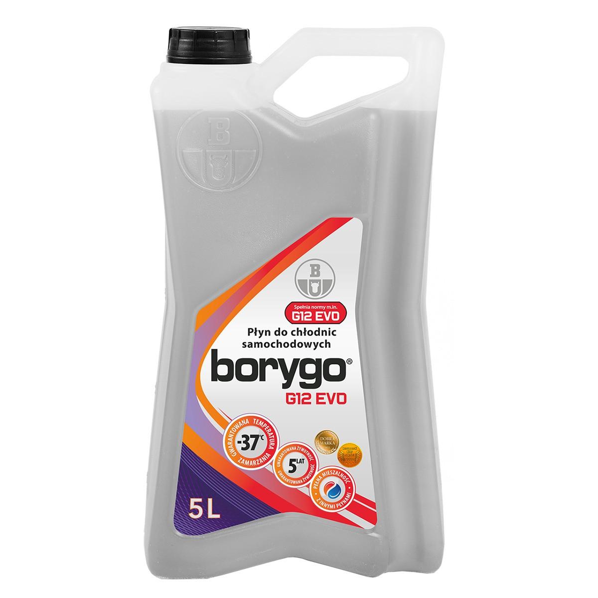 Antigel Borygo EVO 5L G 12. (violeta)