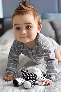 Jucarie bebelus Akuku A0471