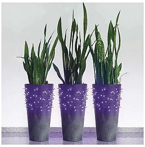 Luminite de Craciun EMOS Fir