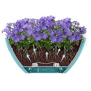  Santino Calipso 3.8l