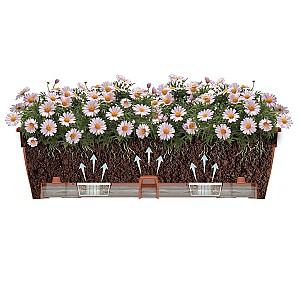  Santino Lido Window Box