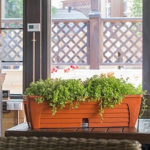  Santino Lido Window Box