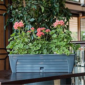  Santino Lido Window Box