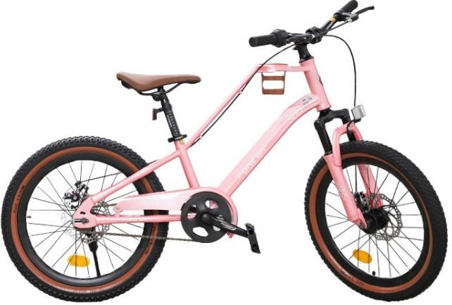 Bicicleta copii New World Forever 20 Pink (KFC-20)