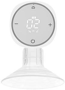 Pompa de san Lionelo Fidi One