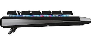 Tastatura gaming  Genesis Rhod 300 NKG-1528