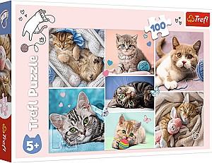 Puzzle Trefl 16420