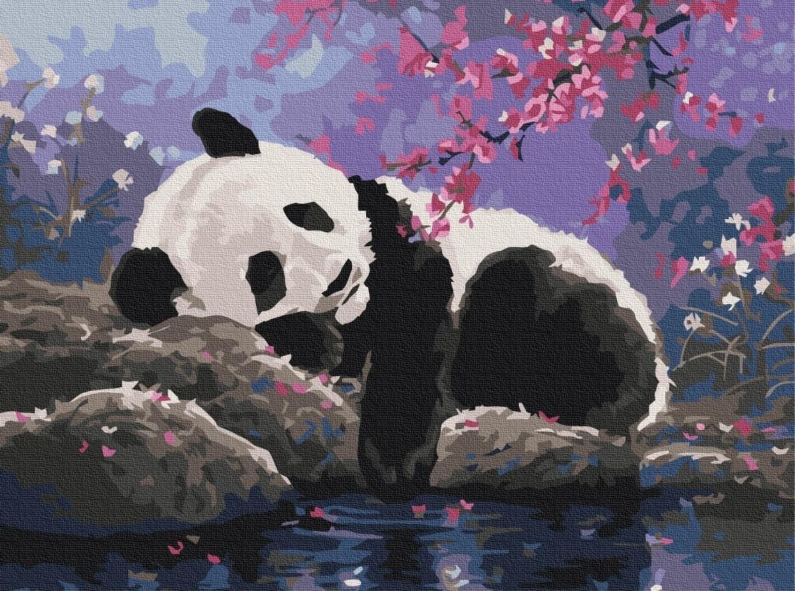 Tablou pe numere BrushMe Visul dulce al Pandei (RBS25108)