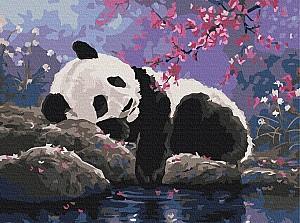 Tablou pe numere BrushMe Visul dulce al Pandei (RBS25108)