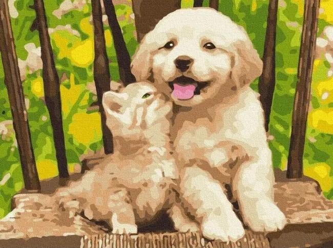 Tablou pe numere BrushMe Prietenii (RBS39280)