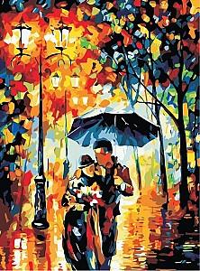 Tablou pe numere PRC 05134