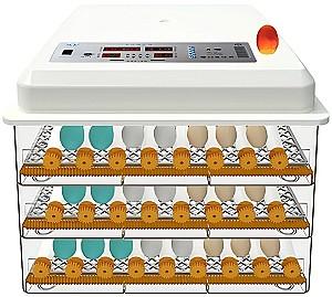 Incubator Demetra DM-176