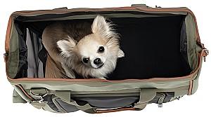 Transportator de caini Flamingo Hannah Green