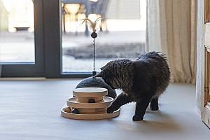 Jucarie pentru pisica Designed by Lotte Tower Maia Black