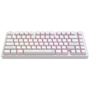 Tastatura gaming Dark Project 81 Terra Nostra White