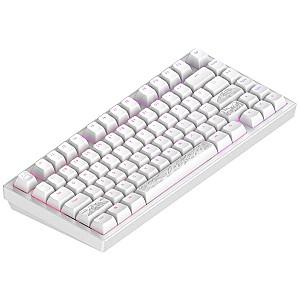 Tastatura gaming Dark Project 81 Terra Nostra White