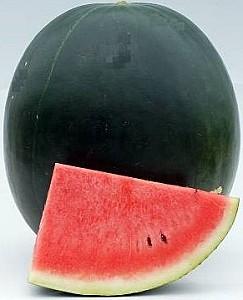 Seminte de pepene verde Known-You Seed Bright Duchess F1