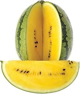 Seminte de pepene verde Nongwoo Bio Orange King F1