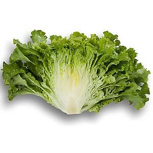 Seminte de salata Rijk Zwaan Partition RZ