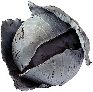 Seminte de varza rosie Rijk Zwaan Rodima  F1