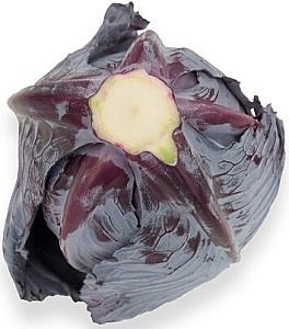 Seminte de varza rosie Rijk Zwaan Redma  F1