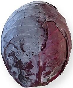 Seminte de varza rosie Rijk Zwaan Futurima F1