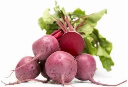 Seminte de sfecla rosie Rijk Zwaan Monty F1