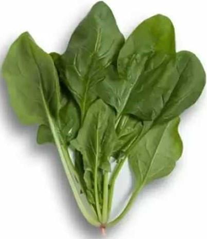 Seminte de salata Rijk Zwaan Boa RZ