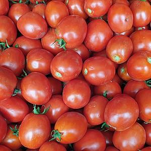 Seminte de rosii Nongwoo Bio Clara F1