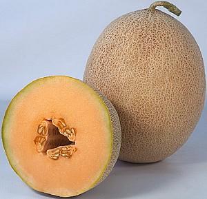 Seminte de pepene galben Kitano Seeds KS 6147 F1