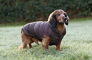  Beeztees WISTI Brown 32 (766616)