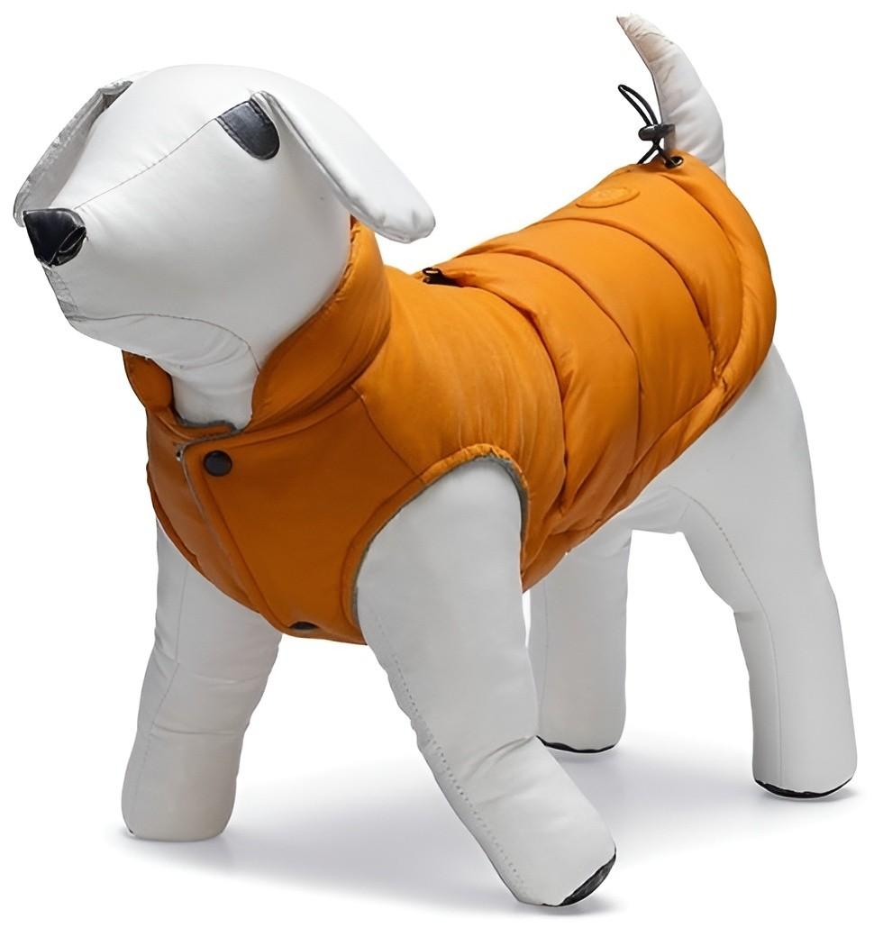  Beeztees WISTI Orange 32 (766604)