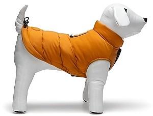  Beeztees Wisti Orange 36 (766605)