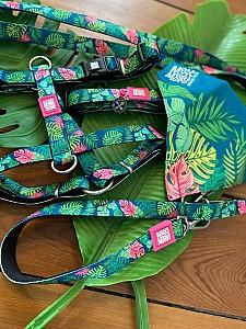Ham pentru caini Max & Molly Multi-Functional Tropical L