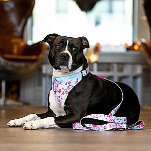 Ham pentru caini Max & Molly Multi-Functional Tropical M