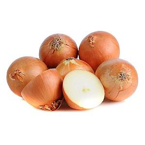 Seminte de ceapa Maraldi Sementi Top Star F1