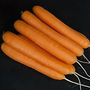 Seminte de morcov Clause Santorin F1